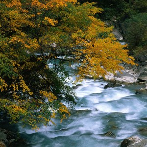 whatsapp下载免费软件 whatsapp用户名可以更改吗 