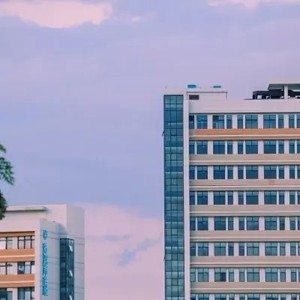 whatsapp网页版 语音验证 whatsapp添加好友怎么加 