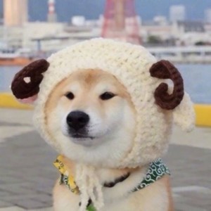 whatsapp网页版 语音验证 whatsapp添加好友怎么加 