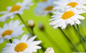 whatsapp 群组 怎么添加人 怎样加whatsapp网页版好友 