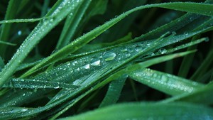 whatsapp群组个人昵称设置 whatsapp客户采集 whatsapp群组个人昵称设置 whatsapp客户采集