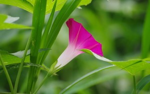 whatsapp群组个人昵称设置 whatsapp客户采集 whatsapp群组个人昵称设置 whatsapp客户采集