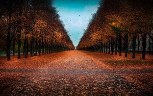 whatsapp网页版有好友怎么营销 whatsapp网页版安卓版下载知乎 