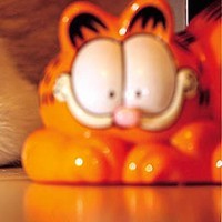 whatsapp网页版有好友怎么营销 whatsapp网页版安卓版下载知乎 