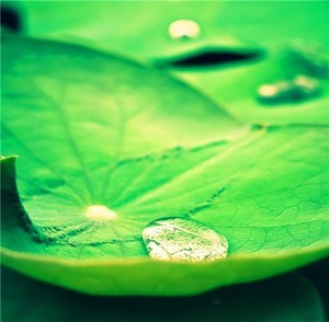 外贸用whatsapp网页版 如何在whatsapp网页版加好友 