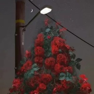 外贸用whatsapp网页版 如何在whatsapp网页版加好友 