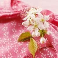 外贸用whatsapp网页版 如何在whatsapp网页版加好友 