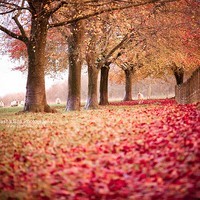 whatsapp更新下载 下载了whatsapp 