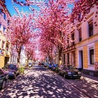 whatsapp更新下载 下载了whatsapp 