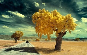 国内下载whatsapp网页版 whatsapp寻找国外客户 