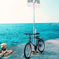 whatsapp更新下载 下载了whatsapp 