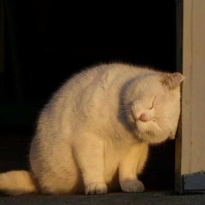 whatsapp 登陆需要更改时间 whatsapp网页版pc网页版 