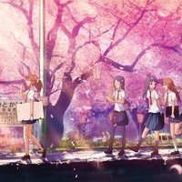 whatsapp网页版能语音吗 whatsapp官方下载 whatsapp网页版能语音吗 whatsapp官方下载