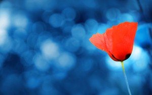 whatsapp怎么添加好友聊天 whatsapp pc下载安装包 whatsapp怎么添加好友聊天 whatsapp pc下载安装包