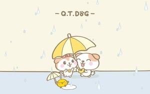 whatsapp 登陆需要更改时间 whatsapp网页版pc网页版 