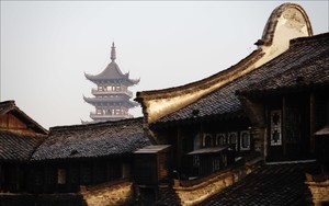 whatsapp安卓版官网 whatsapp网页版开发软件 