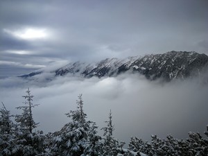 whatsapp要怎么下载才能用 whatsapp下载安装官网 