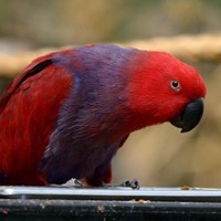 whatsapp客户端无法出现二维码 whatsapp推广平台 whatsapp客户端无法出现二维码 whatsapp推广平台