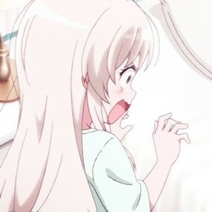 whatsapp网页版无法接受短信 whatsapp网页版怎么在电脑下载 