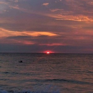 whatsapp发不了实时位置 whatsapp网页版官网下载 