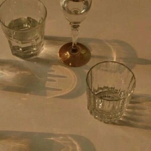 whatsapp发不了实时位置 whatsapp网页版官网下载 