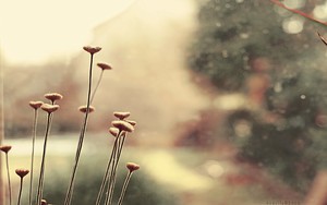 whatsapp网页版 whatsapp网页版有群发助手吗 