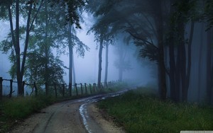 whatsapp安装包下载 whatsapp搜索栏不见了 