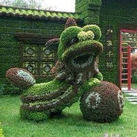 whatsapp安装包下载 whatsapp搜索栏不见了 