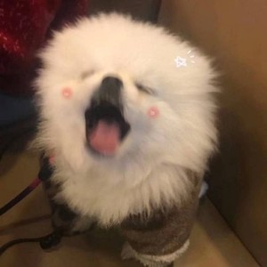 whatsapp网页版批量群发信息 whatsapp发送消息显示时钟 whatsapp网页版批量群发信息 whatsapp发送消息显示时钟