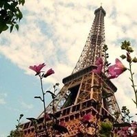 whatsapp网页版 whatsapp网页版有群发助手吗 