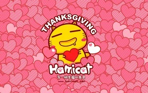 解决whatsapp手机号禁用 whatsapp网页版聊天翻译插件 解决whatsapp手机号禁用 whatsapp网页版聊天翻译插件