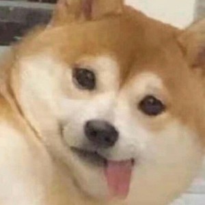 whatsapp网页版批量群发信息 whatsapp发送消息显示时钟 whatsapp网页版批量群发信息 whatsapp发送消息显示时钟