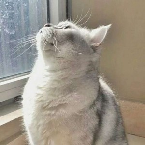 whatsapp网页版批量群发信息 whatsapp发送消息显示时钟 whatsapp网页版批量群发信息 whatsapp发送消息显示时钟