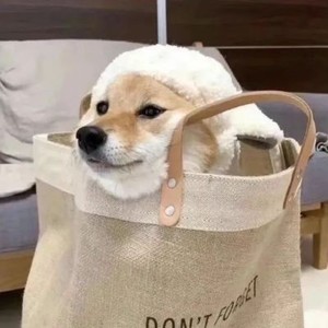 whatsapp网页版批量群发信息 whatsapp发送消息显示时钟 whatsapp网页版批量群发信息 whatsapp发送消息显示时钟