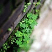 whatsapp网页版批量群发信息 whatsapp发送消息显示时钟 whatsapp网页版批量群发信息 whatsapp发送消息显示时钟