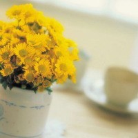 whatsapp网页版搜索聊天记录 whatsapp网页版网址问题 