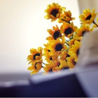 whatsapp海外版安卓下载 whatsapp网页版下载攻略 