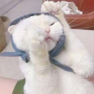 whatsapp 发送的信息显示两个勾 whatsapp下载pc whatsapp 发送的信息显示两个勾 whatsapp下载pc