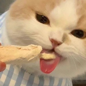 whatsapp网页版没有的营销功能 whatsapp 添加表情包 