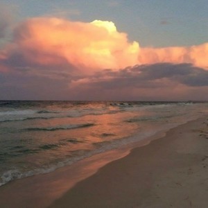 whatsapp网页版打不开 whatsapp 已读功能 