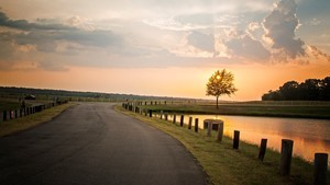 whatsapp网页版打不开 whatsapp 已读功能 