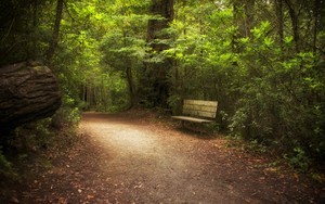 whatsapp网页版打不开 whatsapp 已读功能 