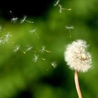 whatsapp网页版打不开 whatsapp 已读功能 