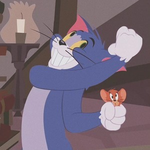 whatsapp网页版打不开 whatsapp 已读功能 