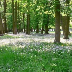 whatsapp网页版安卓手机官方 whatsapp扫码在哪里 whatsapp网页版安卓手机官方 whatsapp扫码在哪里