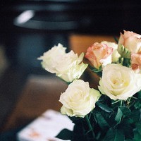 网页版whatsapp网页版怎么登陆 手机怎么登whatsapp网页版 