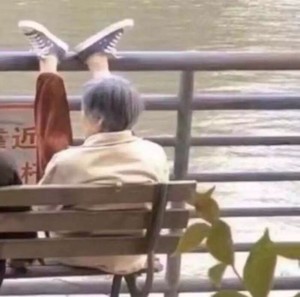 whatsapp网页版发不出视频 whatsapp翻译插件免费 