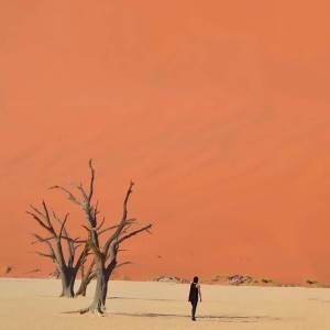 whatsapp用户分布 whatsapp客户开发 