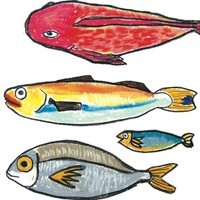 whatsapp网页版多少用户 怎么样在whatsapp中添加朋友 