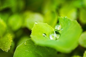 在whatsapp上怎么添加新人 谷歌浏览器whatsapp 